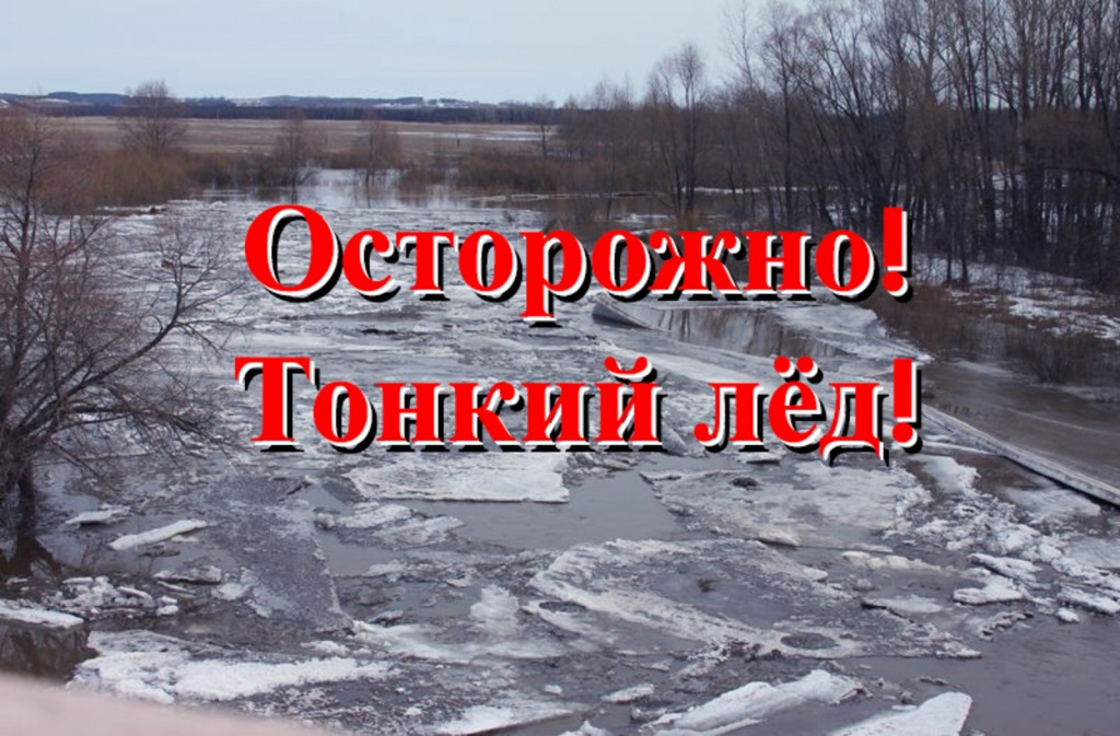 a179dbebf0aea6c3fc75de2284d09944.jpg a179dbebf0aea6c3fc75de2284d09944.jpg